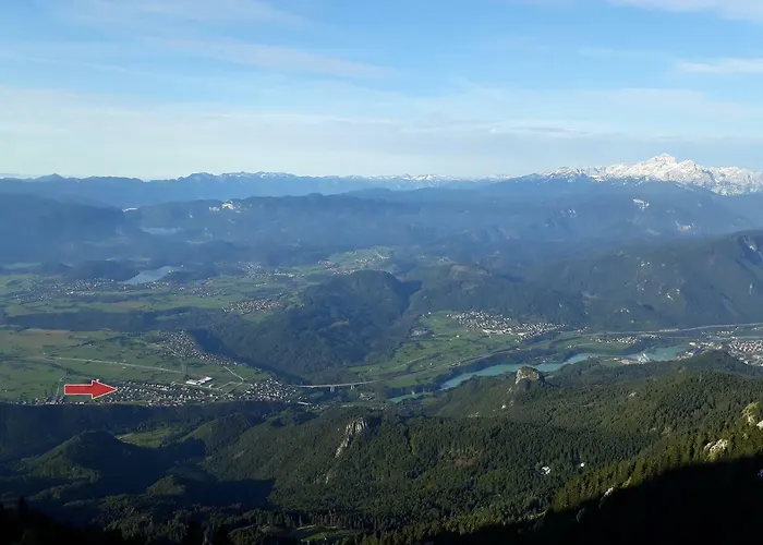 Marjetka * Zirovnica