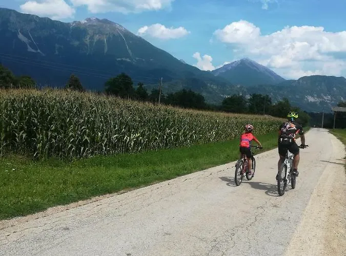 Daire Marjetka Zirovnica